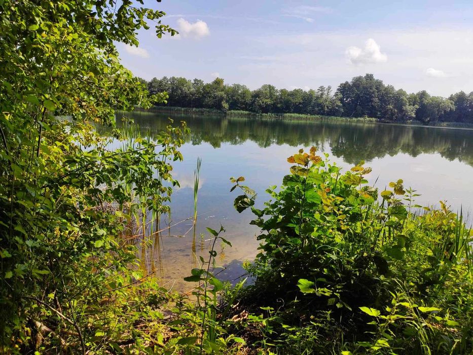 Działka przy linii brzegowej Jeziora Długiego, plaża, widok