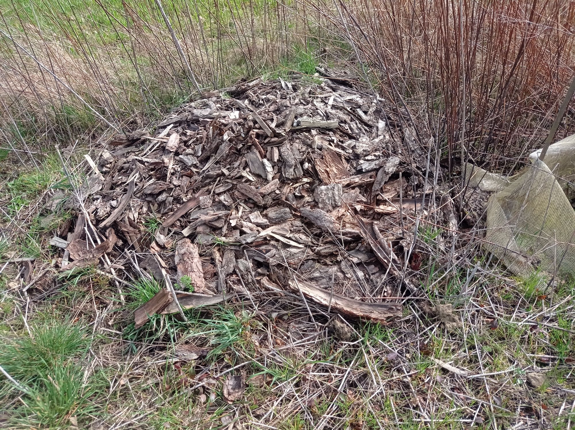 Kora sosnowa drobna, trociny pod borówki i iglaki