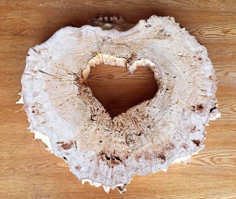 Кап Зріз Слеб Тополь