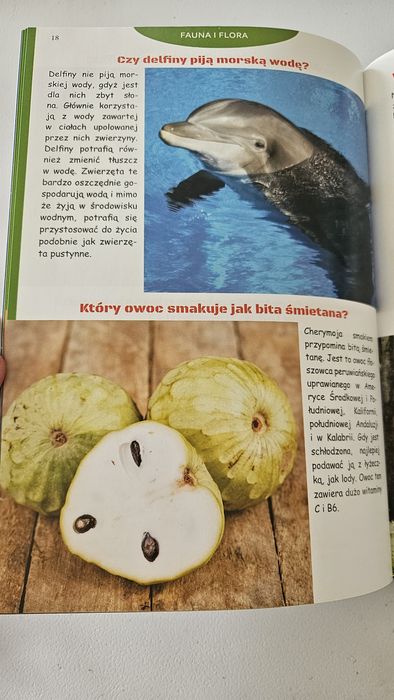 Pytania i odpowiedzi