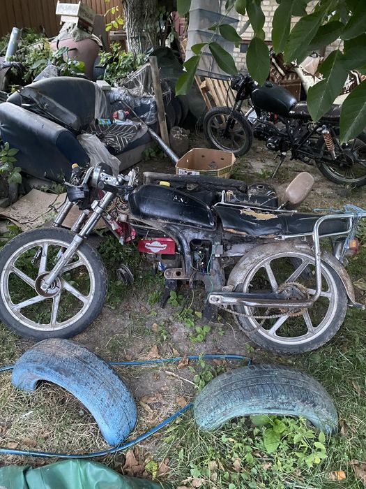 Альфа дельта розбір