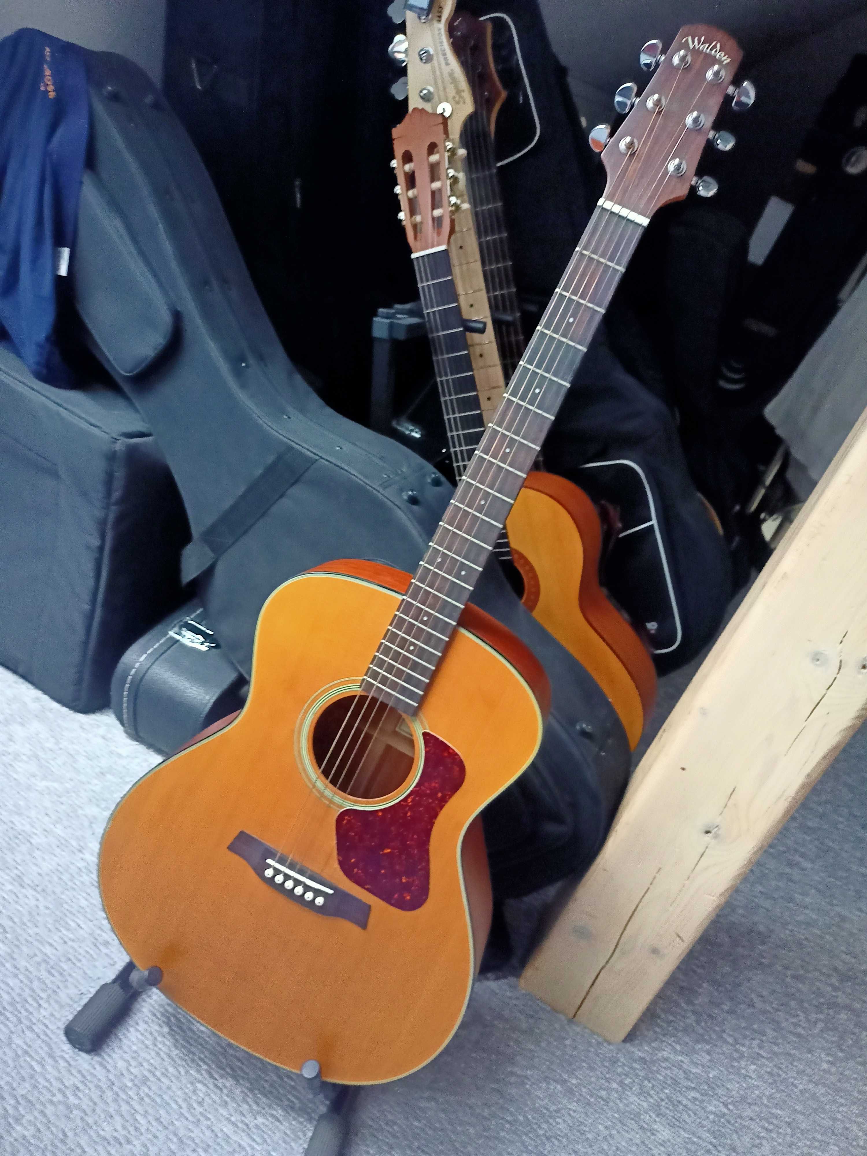 Gitara akustyczna WALDEN G570