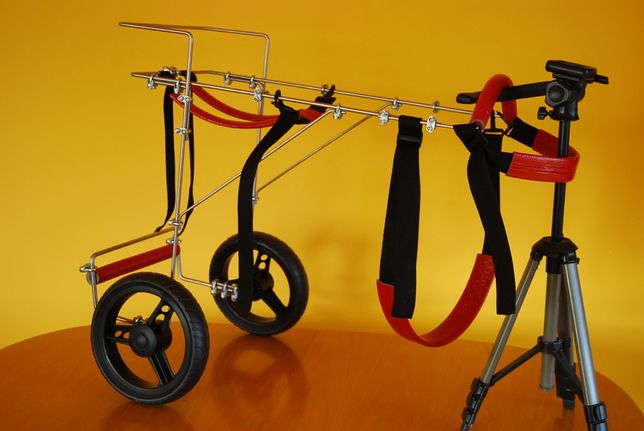 Wózek rehabilitacyjno-inwalidzki dla dużego psa. Szelki wspomagające.