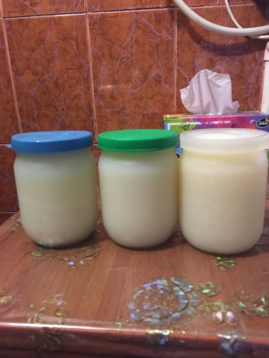 Жир борсучий 2023