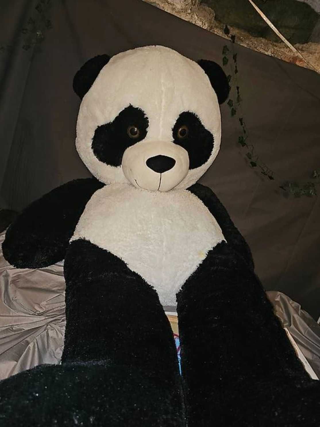 Miś Tedy Panda (miękka zabawka)