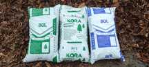 Kora Sosnowa Wrocław Okolice