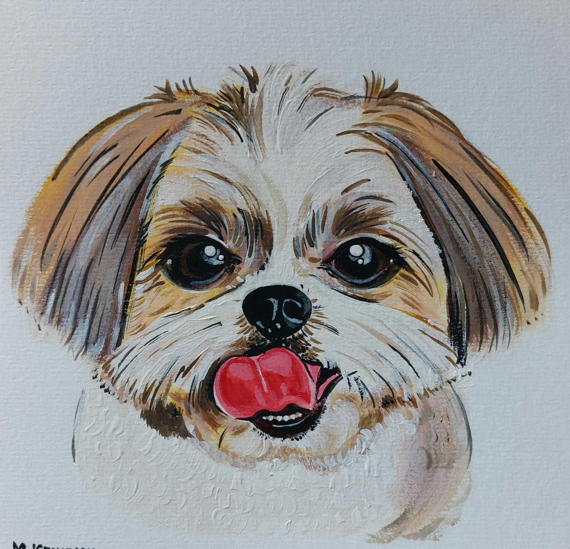 Obraz portret psa, Shih tzu