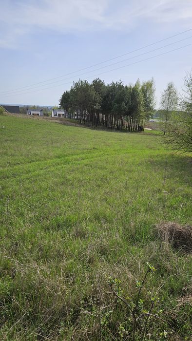 Działka budowlana Krynice