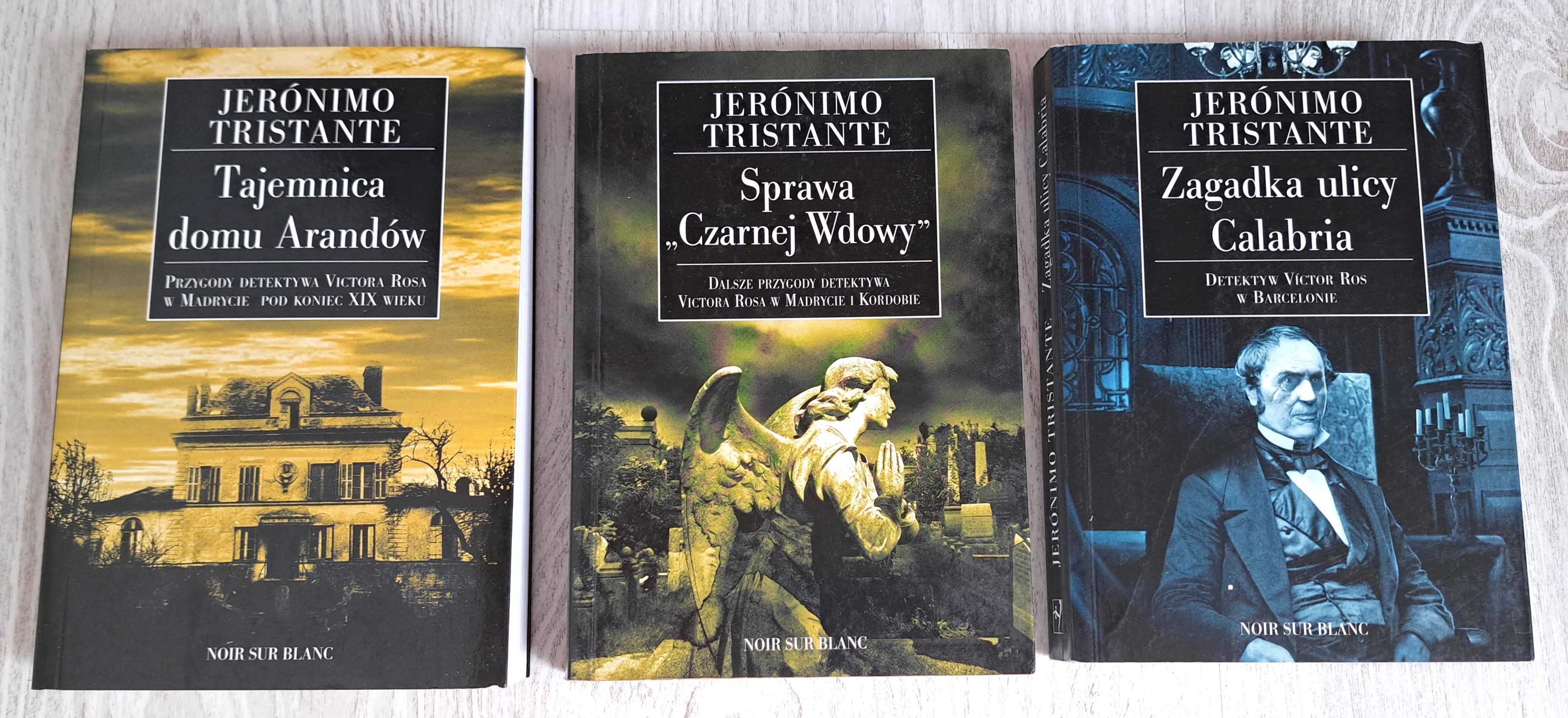 Tristante Zagadka ulicy Calabria Sprawa Czarnej Tajemnica domu Arandów