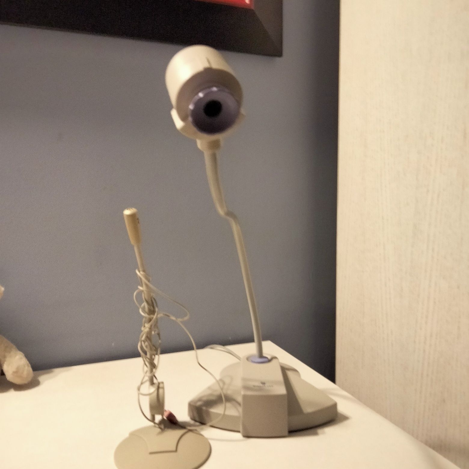 Kamera z mikrofonem