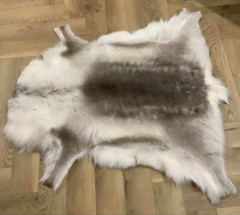 Skóra Renifera z LAPONii roz. XXL