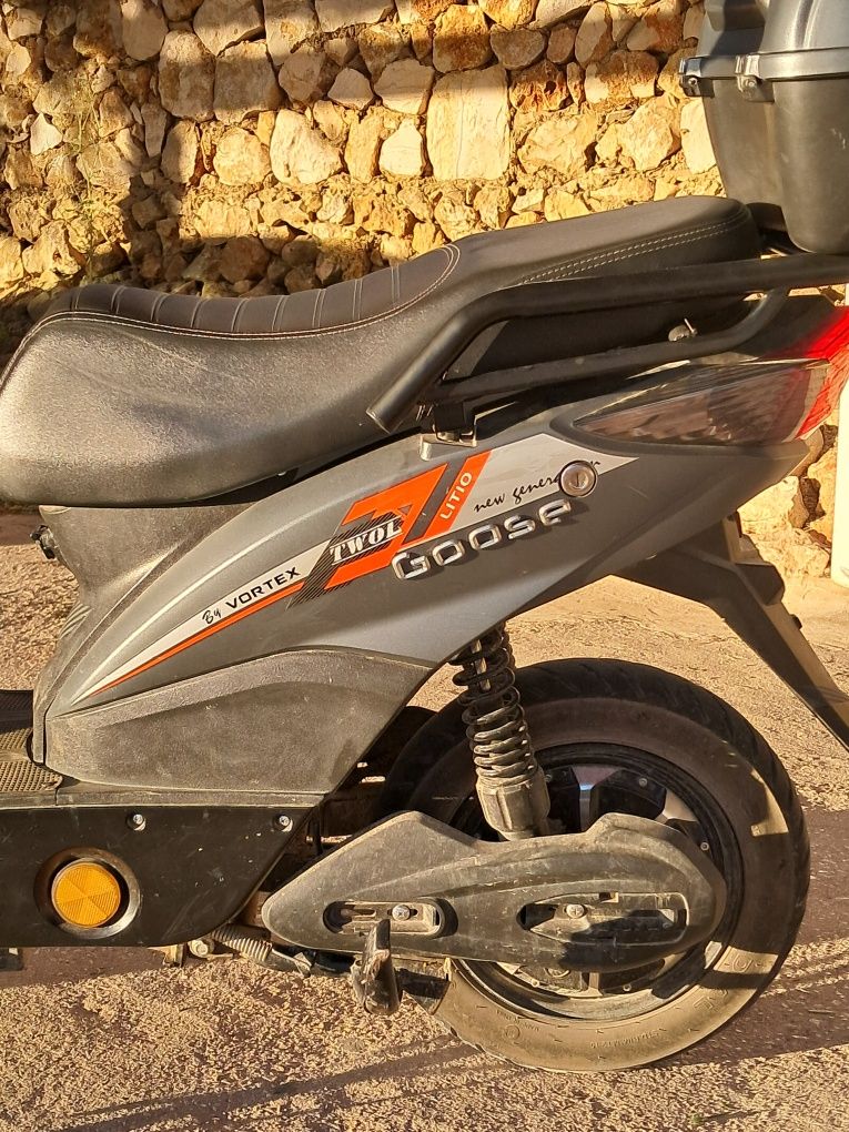 Mota elétrica Goose