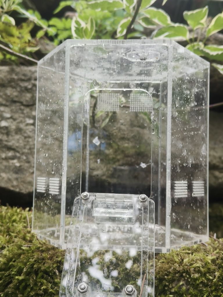 terarium akrylowe dla skakuna ptasznika