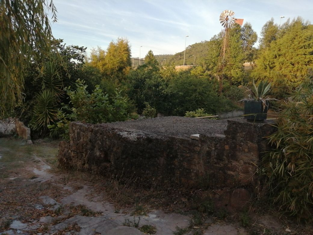 Terreno rústico com lagar e adega, por apartamento com vista de mar.