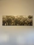 Obraz tulipany 120x40 cm