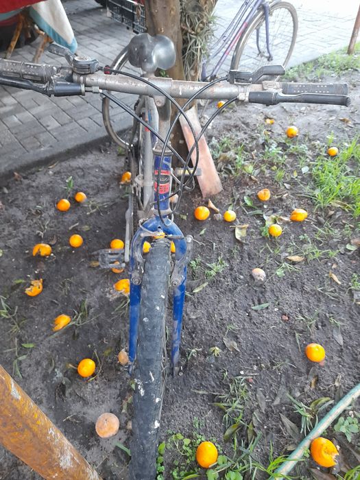bicicletas uma de senhora,uma de senhor