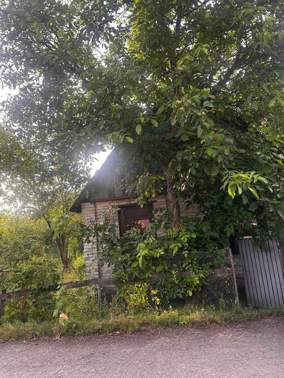 Берківці (Нивки) продаж старого будинку з ділянкою (район Лавіни)