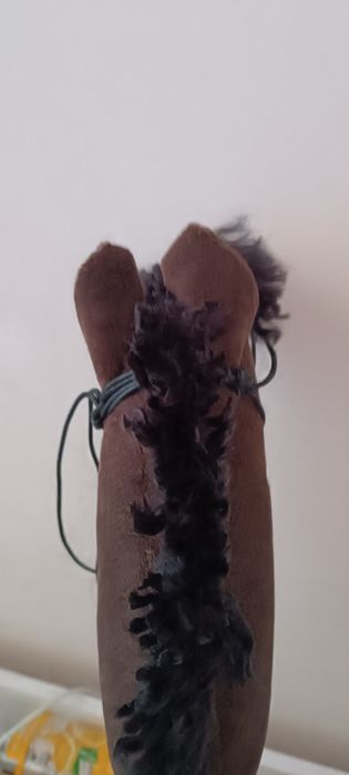 Hobby horse gniady
