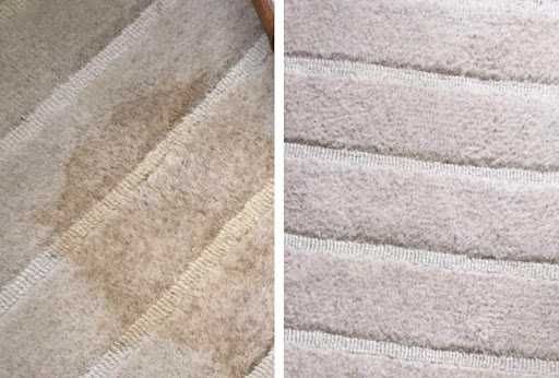 Limpeza Profissional de Sofás, Colchões e Carpetes ao Domicílio