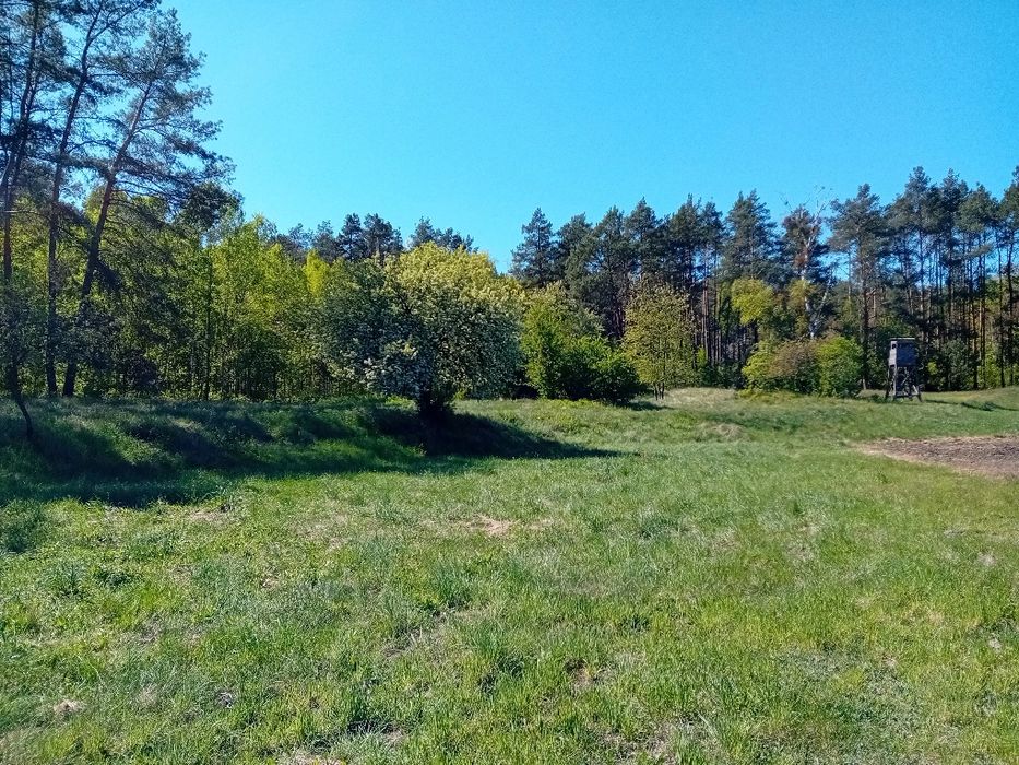 Działka blisko rzeki Drawa