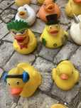 37  Patos de Brincadeira em Borracha