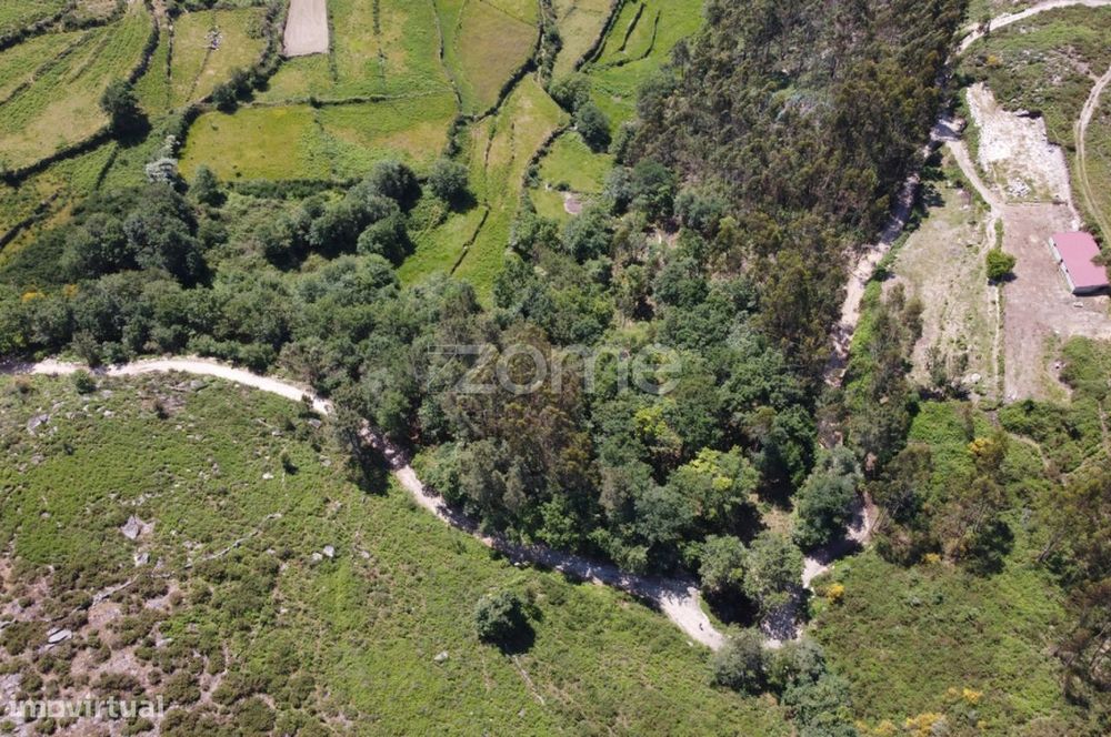 Terreno Rústico em Barbeitos (Álvora)