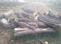 Sprzedam Drewno Oliwne