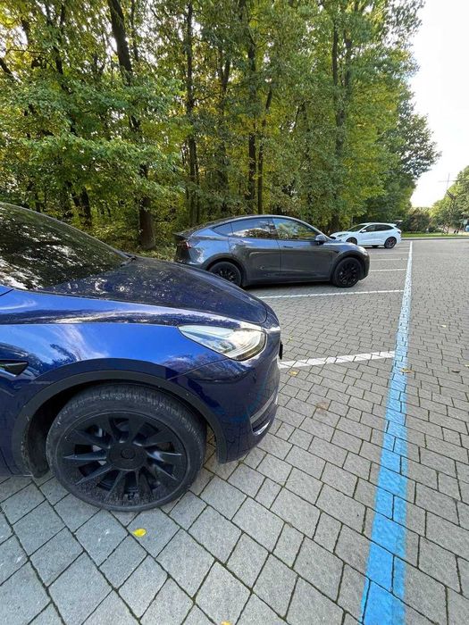 Оренда авто під виплату чи проста оренда Chevrolet Bolt/Kia Niro/Tesla