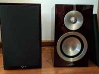 monitory Paradigm Prestige 15B