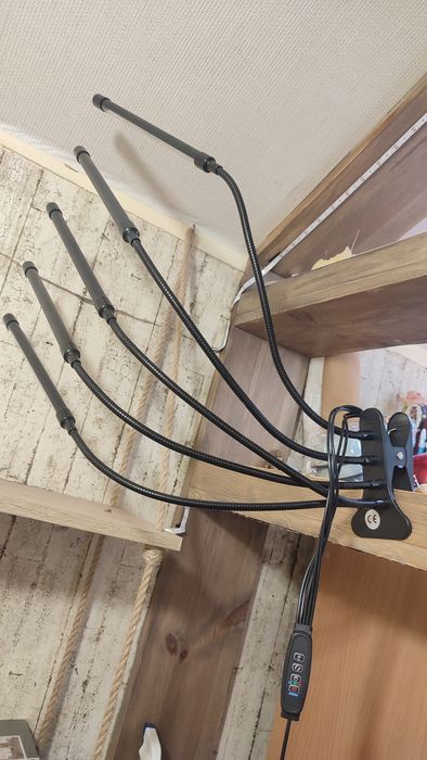 Фитолампа  на прищепке 5 гнучек