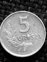 Polskie 5 groszy