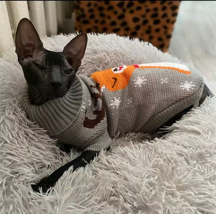 Сфинкс тёплые свитерочки.