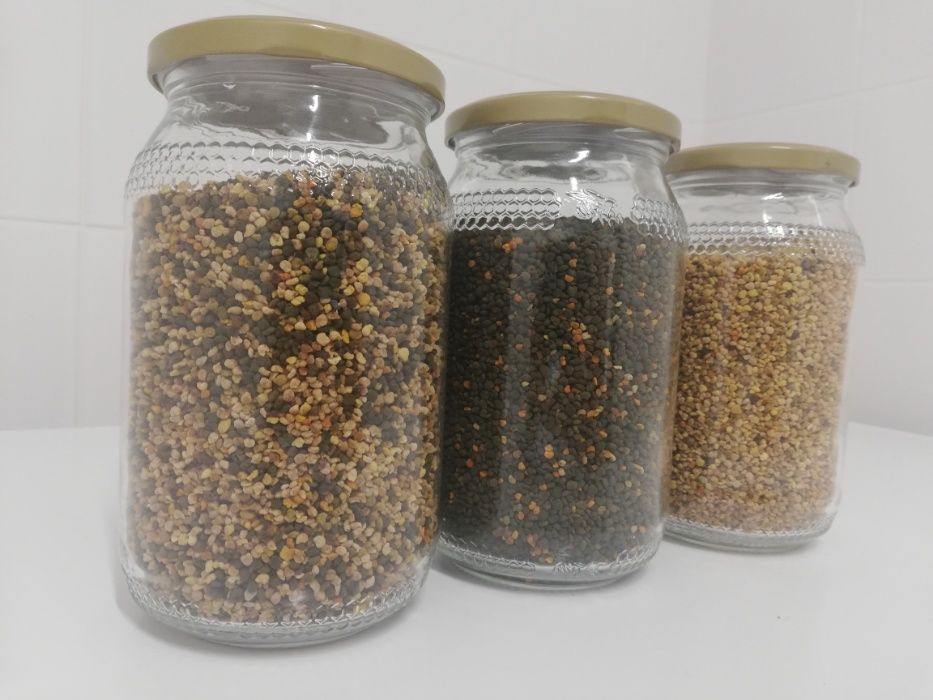 Pyłek kwiatowy 500 gram, wysyłka, Pasieka Władysławowo