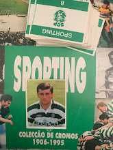 Cromos Sporting 1906 / 1995 Magic Box Int