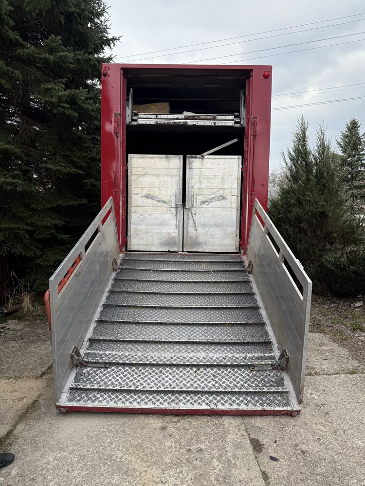 DAF CF360 do przewozu zwierząt