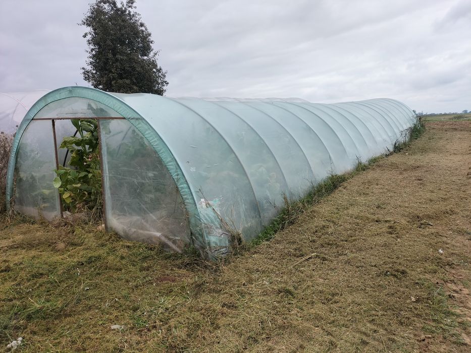 Tunel foliowy 18mx4m