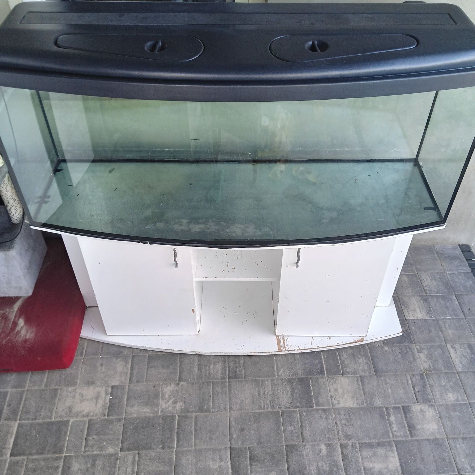Akwarium panoramiczne 450l