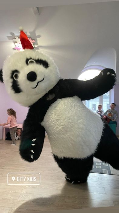 Білий ведмідь Снятин. Аніматори. Пес Патрон. Панда.Привітання на виїзд