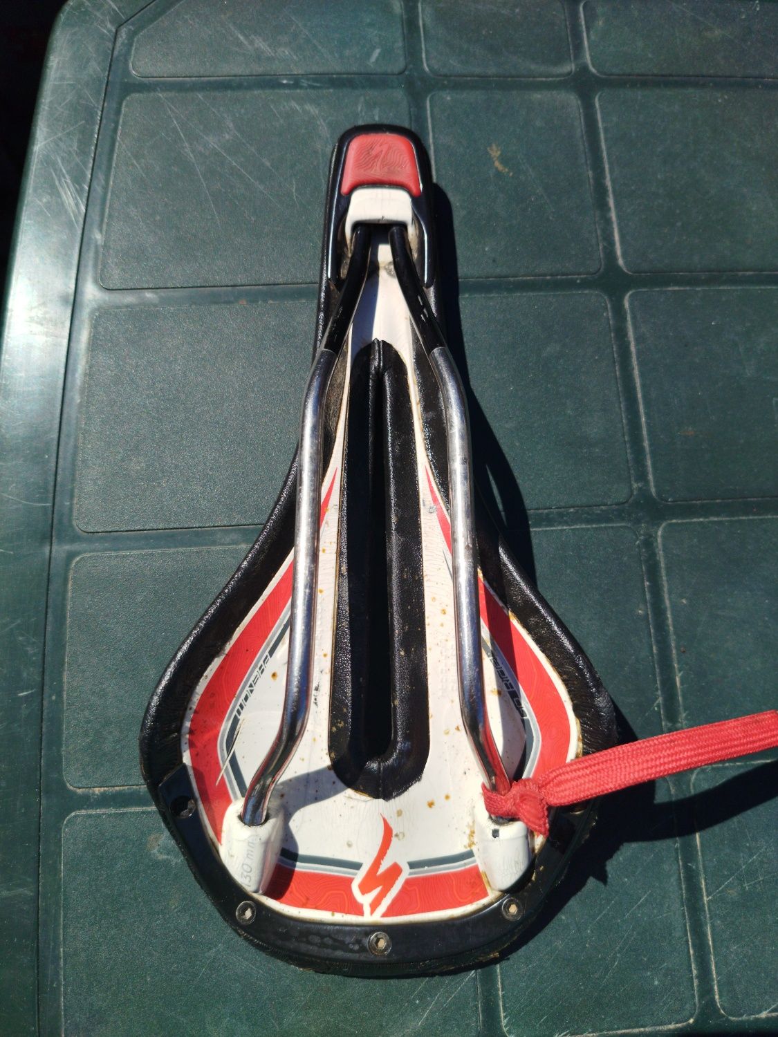 Selim specialized Phenon