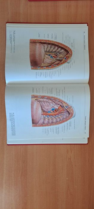Sobotta: Atlas de Anatomia Humana