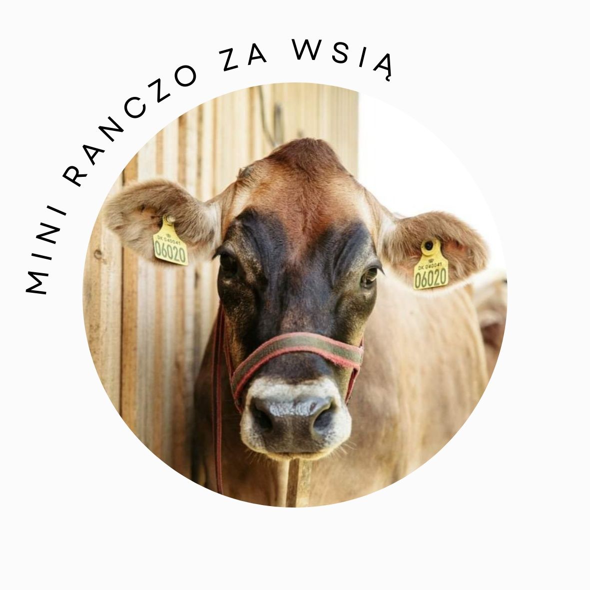 Mleko A2A2 jersey