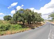Terreno para alugar em Palmela 5465 M2
