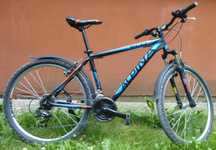 Rower Alpina ECO M10