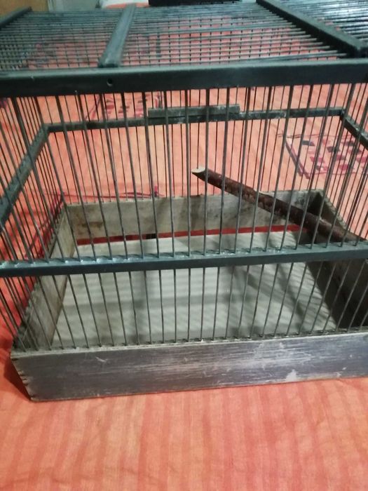 Клітка для птахів та гризунів