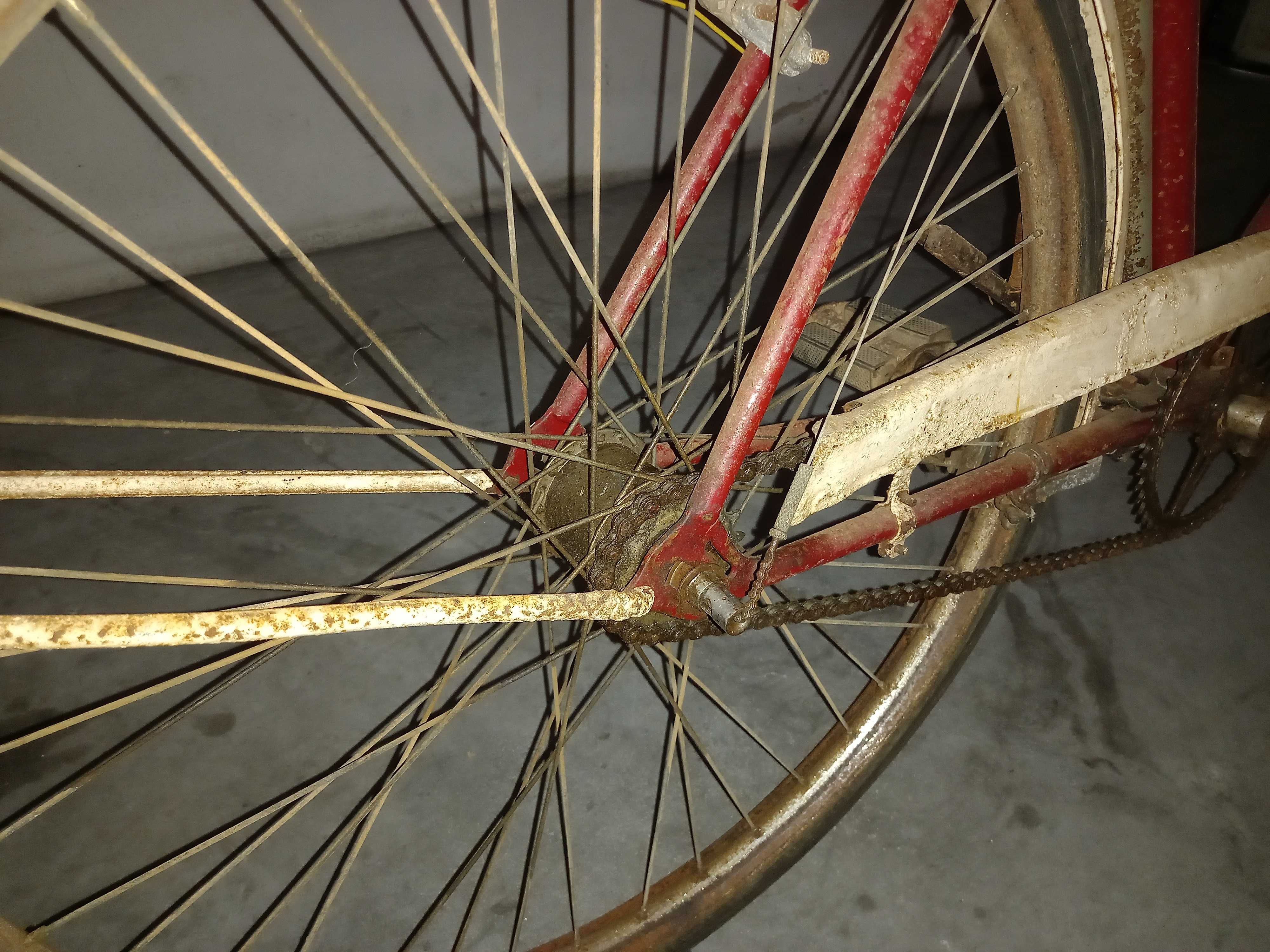 Bicicleta vintage - anos 50