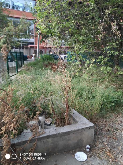 Покос травы уборка участков вспашка качественно