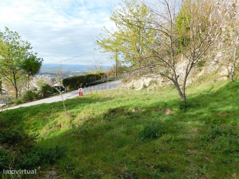 Terreno Urbano / Seia, São Romão