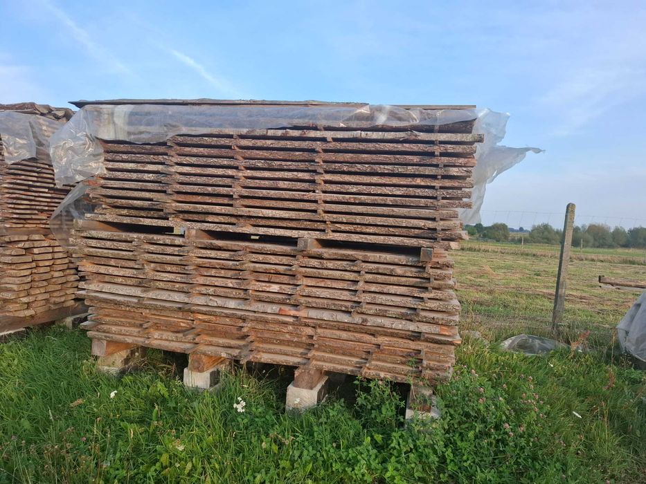 tarcica olchowa nieobrzynana  sezonowana