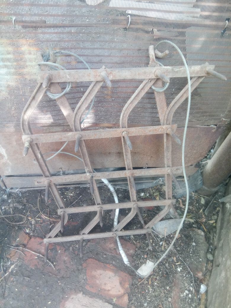 Райборонки имеются две.