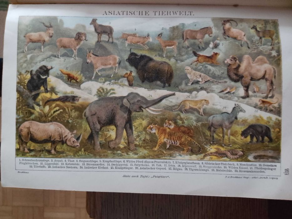 Piękne litografie